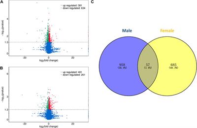 Transcriptome Analysis Identifies Candidate Genes and Signaling Pathways Associated With Feed Efficiency in Xiayan Chicken